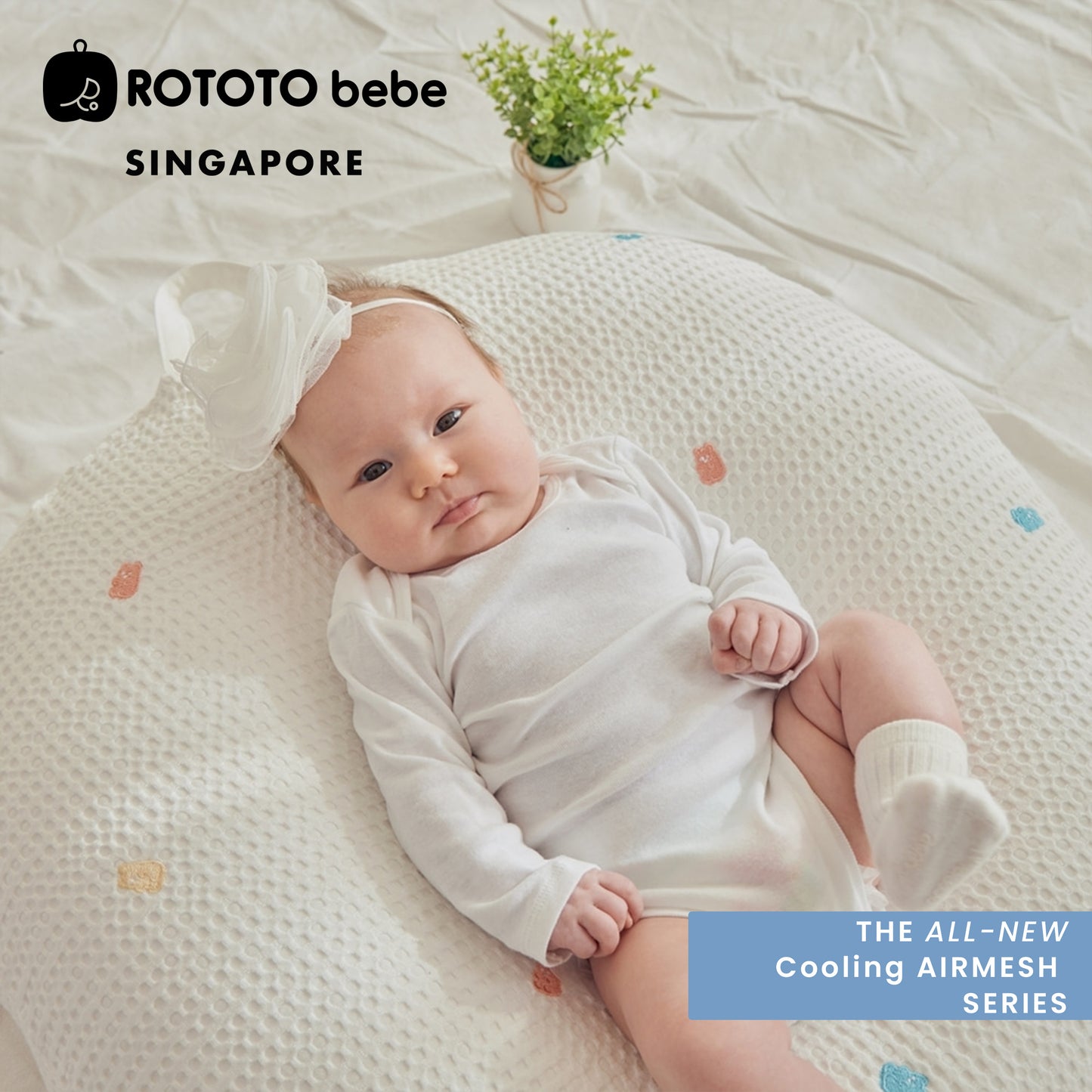 Rototobebe All New Airmesh Multipurpose Cushion+ Cover Set