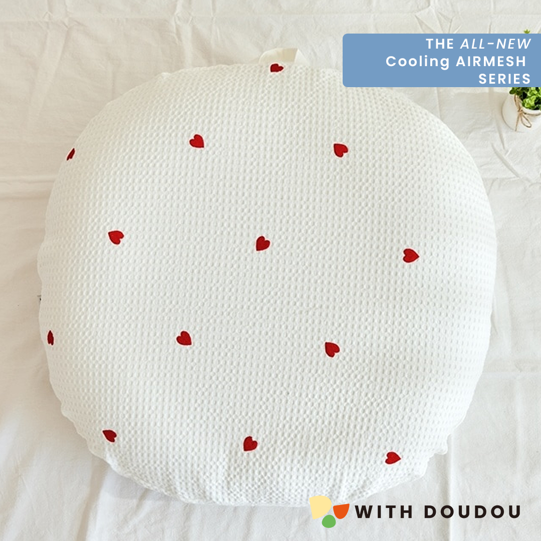 Rototobebe All New Airmesh Multipurpose Cushion+ Cover Set